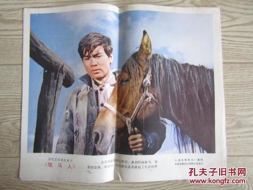 找个学历证书编号